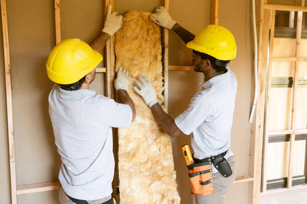 Best Insulation Inspection Services  in Renville, MN