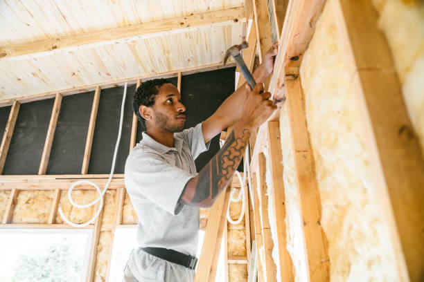 Professional Insulation Contractor in Renville, MN