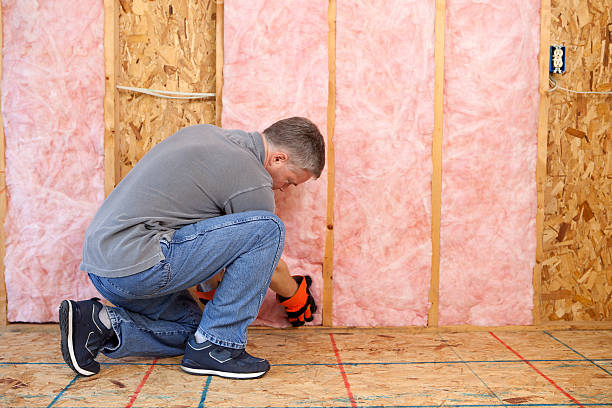 Insulation Inspection Services in Renville, MN